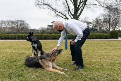 Biden juega con perros en los jardines de la Casa Blanca.