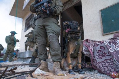 Tropas de Israel en Gaza. Hay un soldado con un fusil y junto a él un perro de combate.