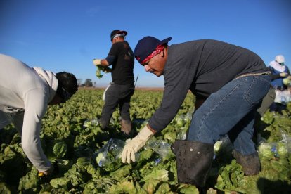 Trabajadores hispanos en California, en una foto de archivo.