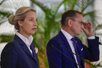 Alice Weidel y Tino Chrupalla