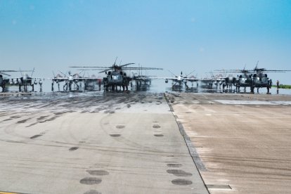 'Elephant walk'