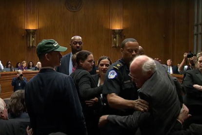 Robert Cohen arrestado en el Senado