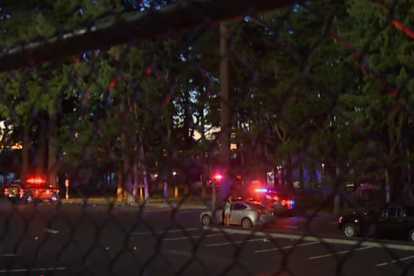 Tiroteo en el parque Harry Todd