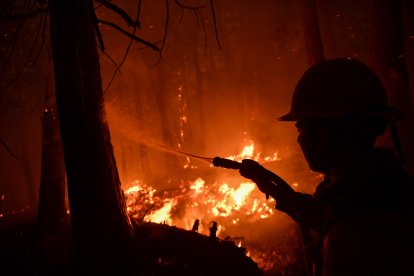 Incendio forestal e imagen de archivo