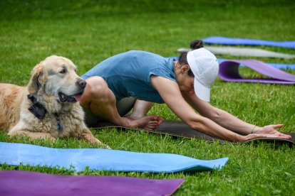 Una mujer participa en una clase de hatha yoga como parte del Festival de Yoga de Sakhalin celebrado en el parque Gagarin el 21 de junio, Día Internacional del Yoga