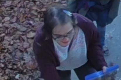 Imagen de Geyser capturada por una cámara de videovigilancia