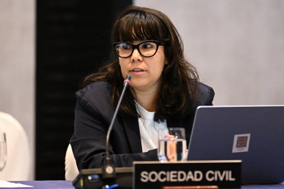 Camila Rodríguez, directora de la Iniciativa de Investigación e Incidencia Política
