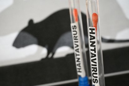 Ilustración de un concepto de prueba de hantavirus con tubos de laboratorio (Archivo)