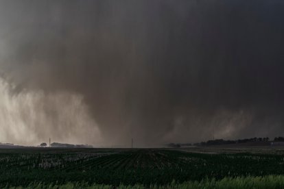 Un violento tornado en forma de cuña, envuelto en lluvia, arrasa tierras de cultivo (Archivo)