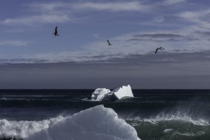 Un iceberg flota en las aguas del océano Atlántico