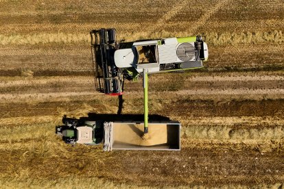 Imagen referencial de Agricultura