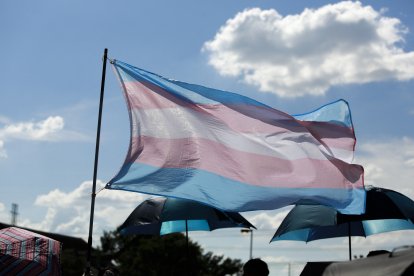 Imagen de la bandera trans