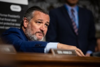 Ted Cruz en el Senado/ Allison Bailey