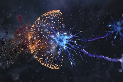 Neuroprotección, ilustración