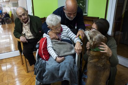 Una anciana de la residencia San Cipriano, en Soto de la Marina (Cantabria, España), acaricia a Miko el 16 de enero durante una de las visitas terapéuticas que la residencia incluye entre sus actividades.