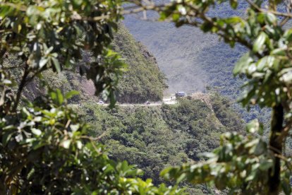Imagen de Los Yungas, en Bolivia, zona del descubrimiento de la nueva especie.