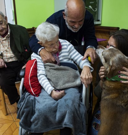Una anciana de la residencia San Cipriano, en Soto de la Marina (Cantabria, España), acaricia a Miko el 16 de enero durante una de las visitas terapéuticas que la residencia incluye entre sus actividades.
