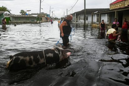 A man carries his pig on a flooded street in Batabano, Mayabeque province, Cuba.