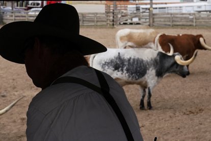 A cowboy commemorating the cattle trails in Texas.