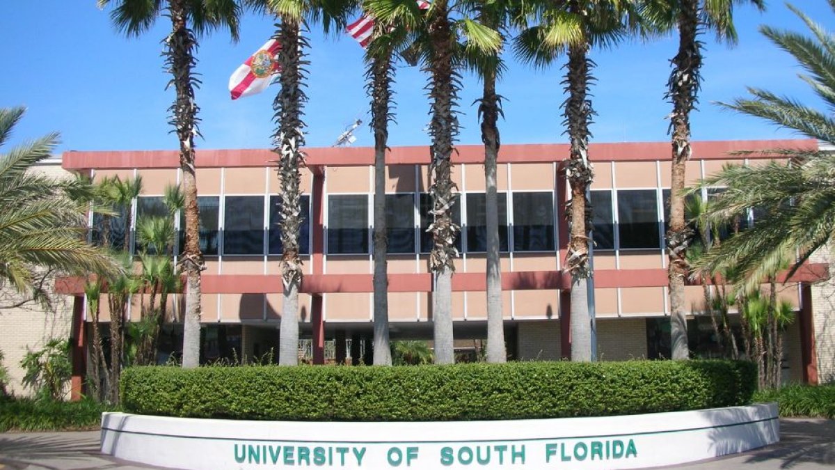 Universidad del Sur de Florida defiende que en EEUU existe una supremacía blanca que pretende eliminar mediante una reeducación racial
