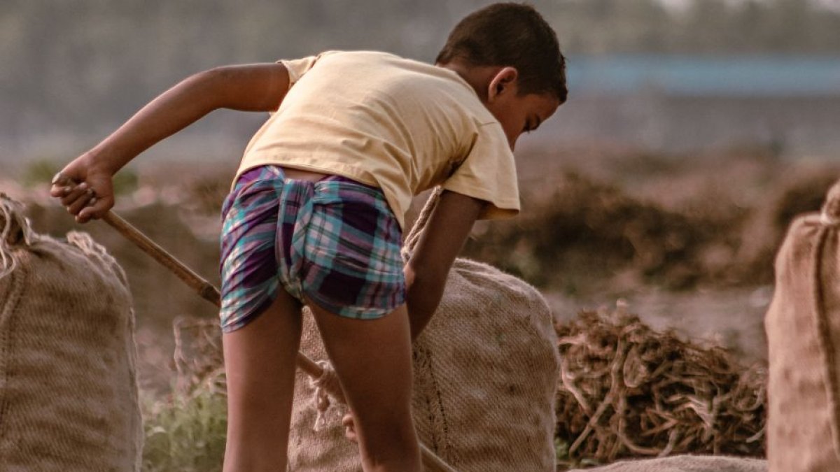 Imagen de un niño trabajando en el campo.