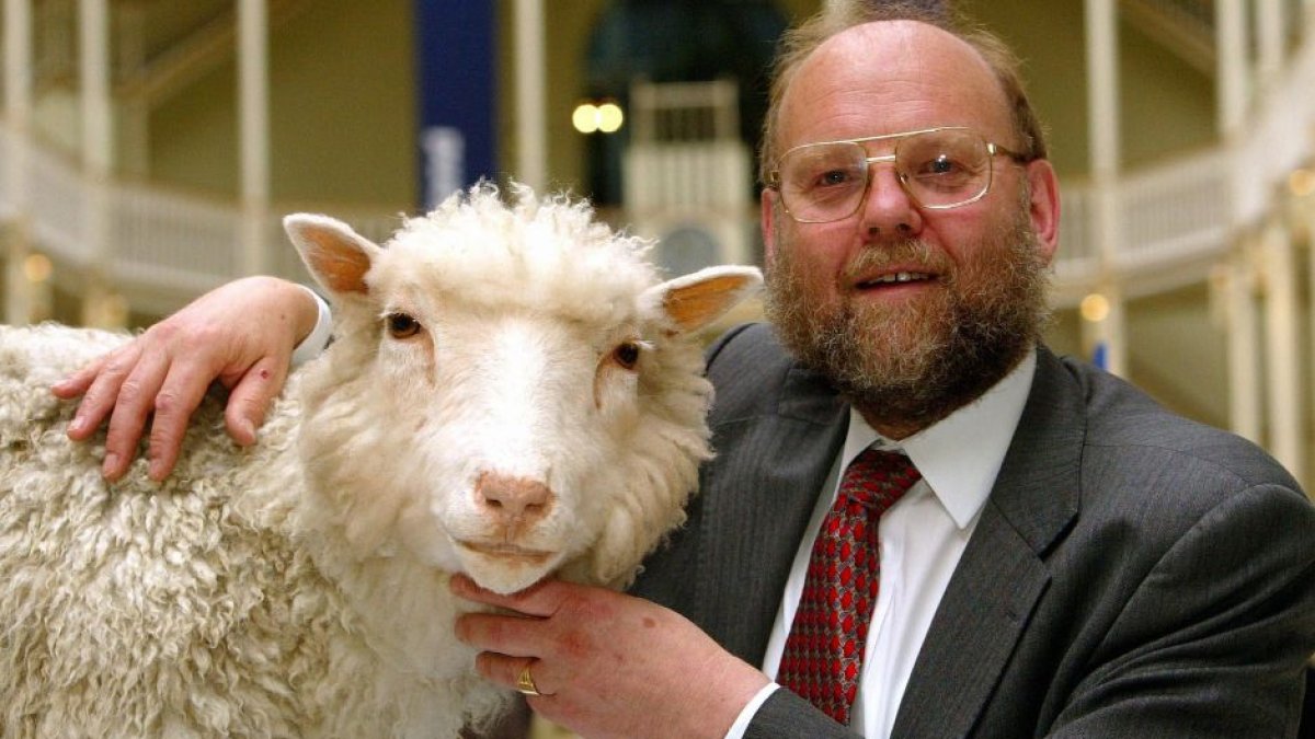 Muere Ian Wilmut, científico que lideró el equipo que clonó a la oveja Dolly