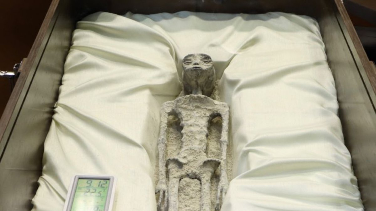 Imagen de uno de los cuerpos no humanos presentados por Jaime