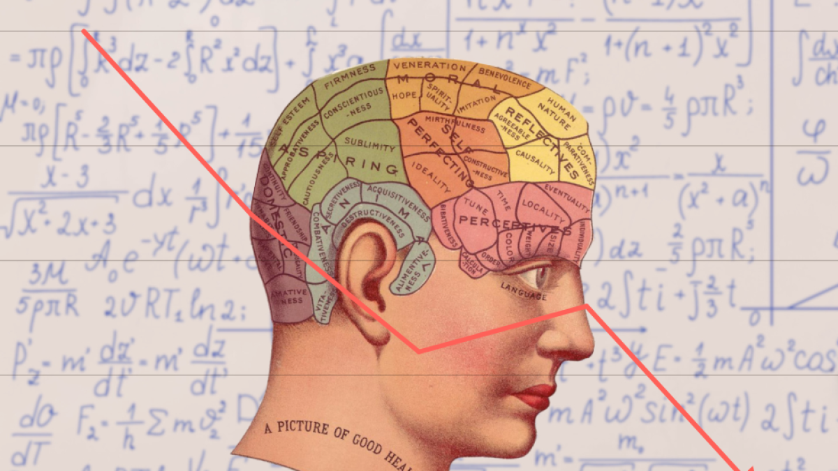 Ilustración de una cabeza destacando regiones del cerebro con una flecha indicando hacia abajo.
