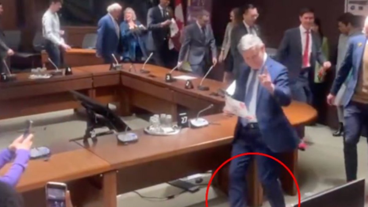 Legisladores canadienses vestidos con tacones rosas.