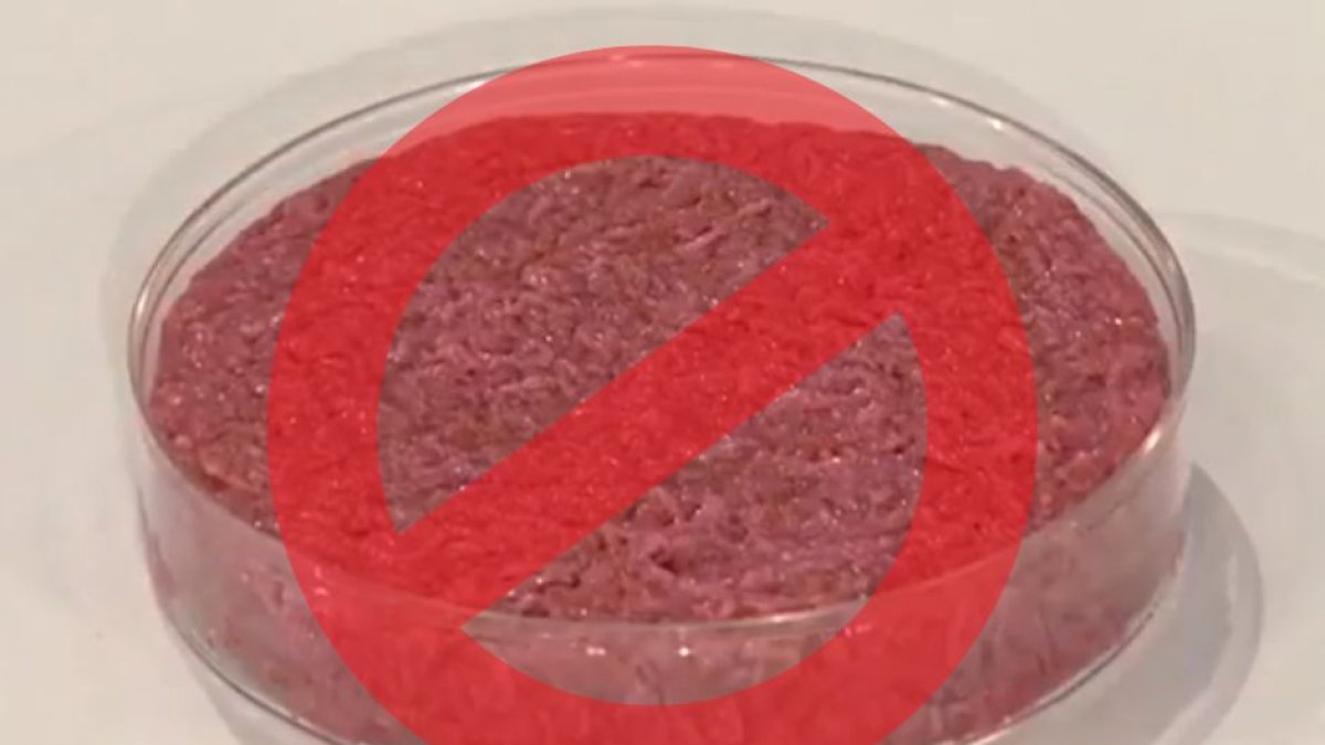 Imagen de archivo de carne artificial con un logo de prohibido para representar gráficamente la prohibición de Italia a la carne artificial.