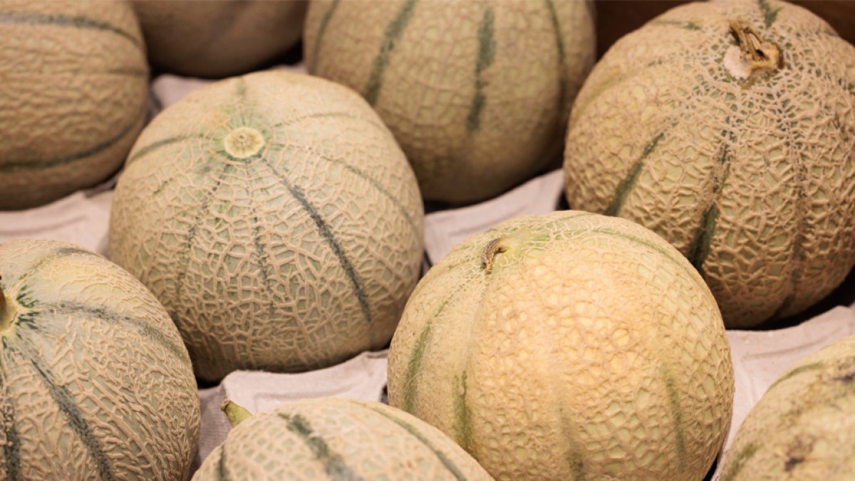 Los CDC advierten sobre un brote de salmonella vinculado al consumo de melones | (JOEL SAGET / AFP)