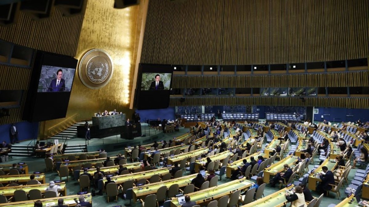 La Asamblea General de la ONU