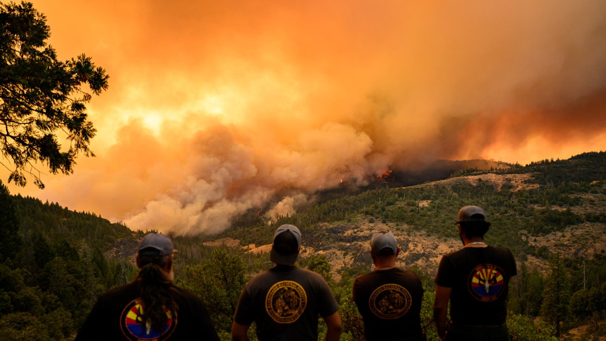 Bomberos observan el incendio Park