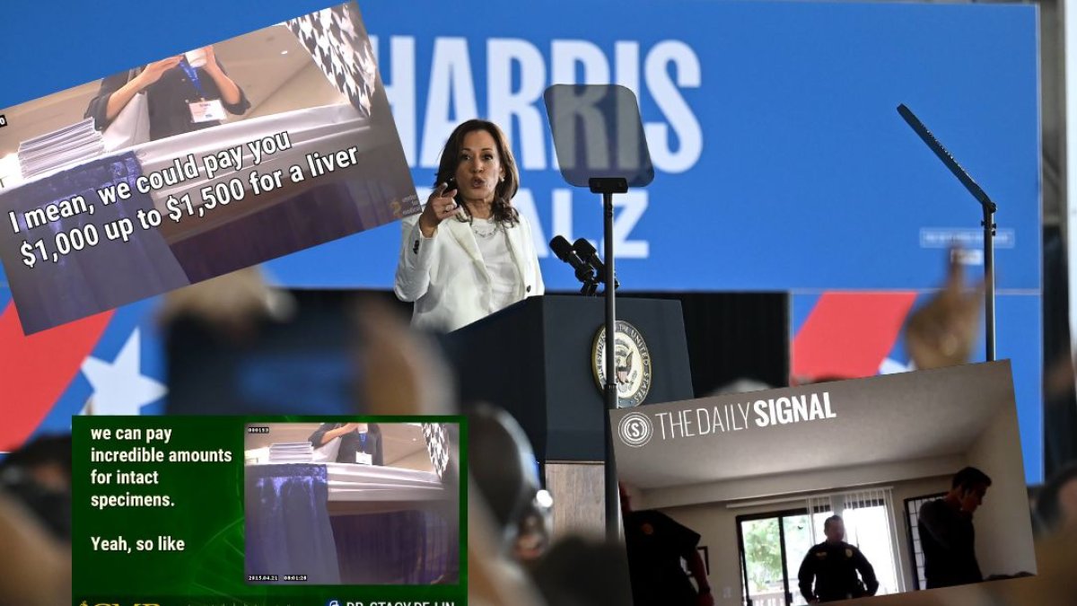 Montaje de Kamala durante un mítin e imágenes del vídeo con personal de Planned Parenthood retenido y del registro del domicilio de Daleiden.