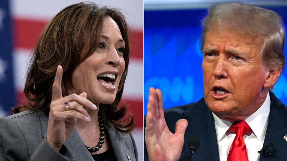 Guerra de encuestas entre Harris y Trump