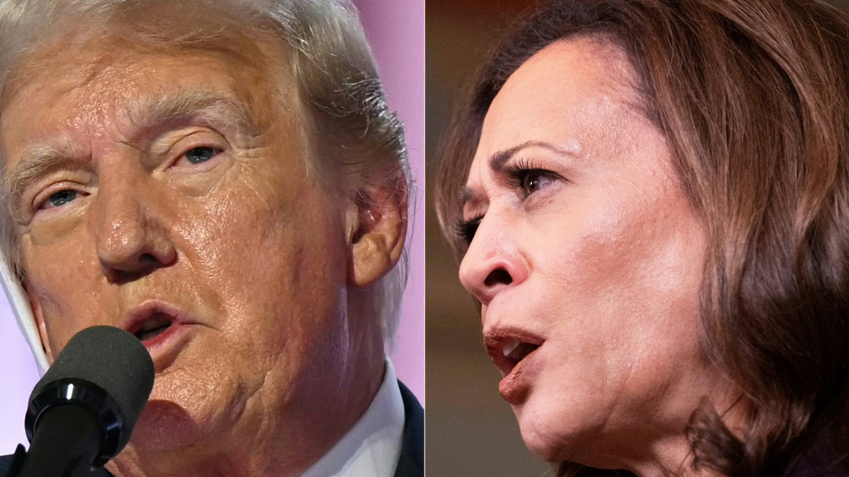 Combinación de fotografías de Donald Trump y Kamala Harris durante distintos actos de su campaña.