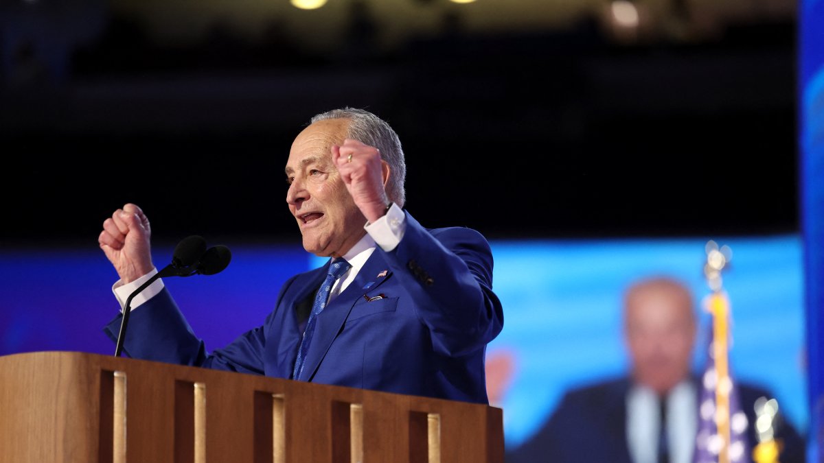 El senador Chuck Schumer da su discurso en el segundo día de la DNC.