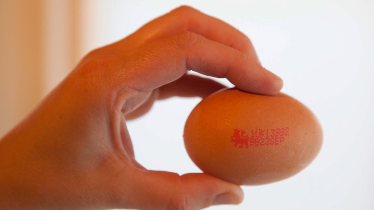 A stock image of the sell-by date on an egg. Sell-by dates on food labels are to be removed in a bid to help cut down the £12billion worth of good food which ends up in the bin each year.