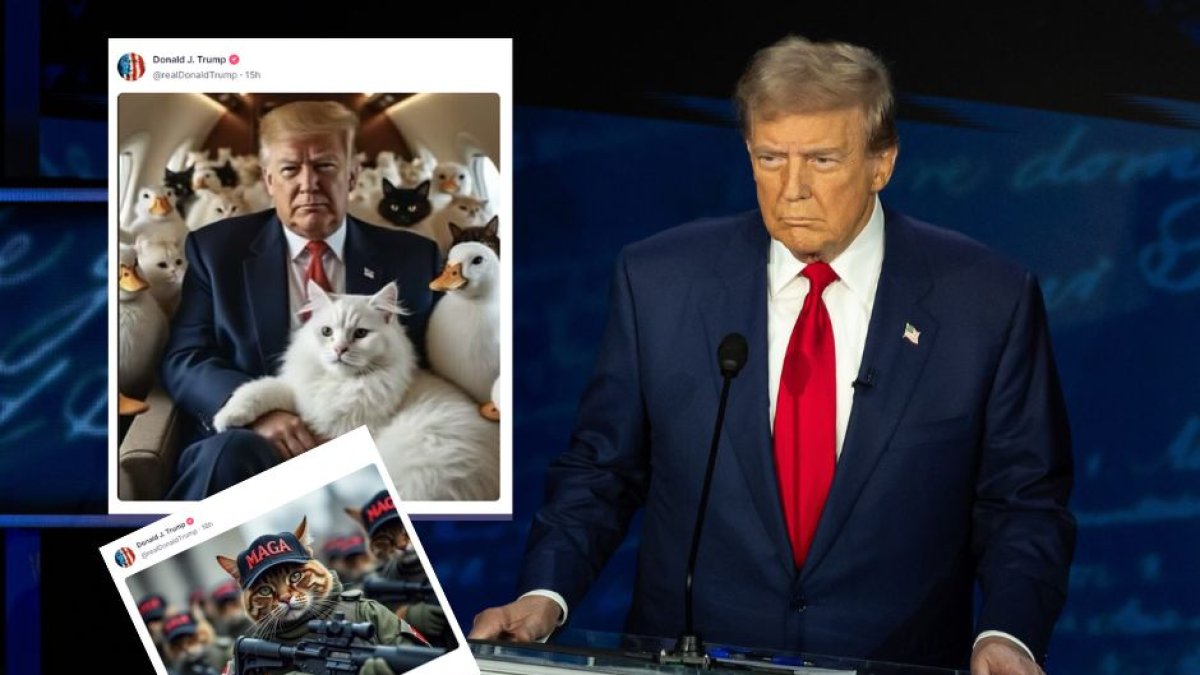 Montaje con una imagen de Donald Trump durante el debate en ABC junto a publicaciones de memes con gansos y mascotas en Truth Social.