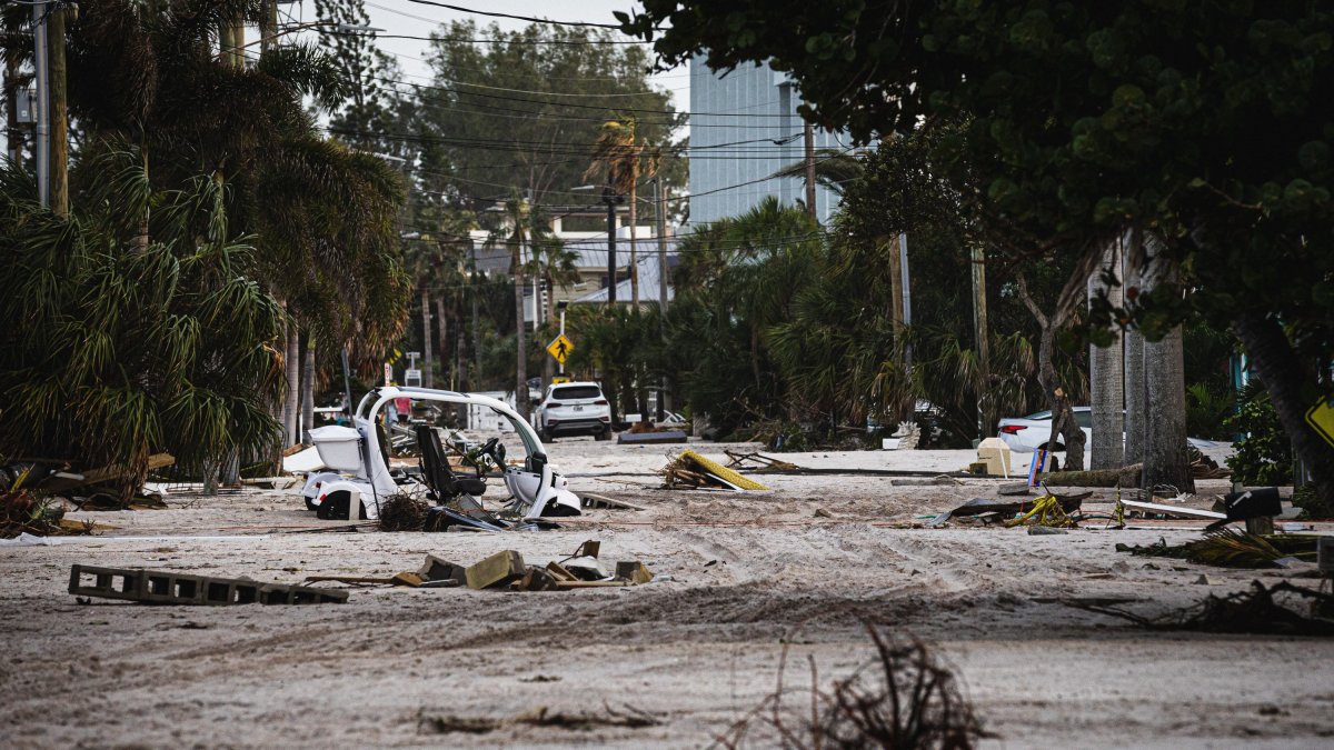 Árboles caídos y daños materiales tras los devastadores efectos del HURACÁN HELEN