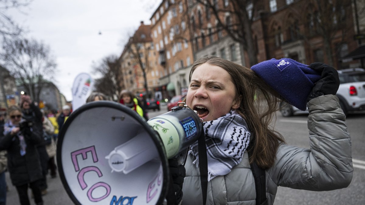 Cambio climático: La joven Greta Thunberg se convirtió en una abanderada del activismo climático