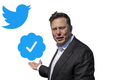 Twitter verificación