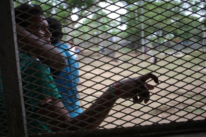 Inmigrantes venezolanos en la selva del Darién