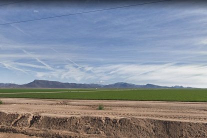 Vista desde la carretera de las plantaciones de Fondomonte.