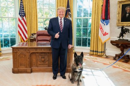 Donald Trump en el Salón Oval con Conan. perro que participó de la operación militar contra el líder del ISIS Abu Bakr al-Baghdadi.