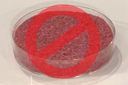 Imagen de archivo de carne artificial con un logo de prohibido para representar gráficamente la prohibición de Italia a la carne artificial.