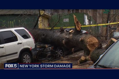 La tormenta afectó a Nueva York