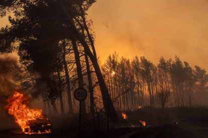 (240812) -- ATHENS, Aug. 12, 2024 (Xinhua) -- A car (lower left corner) catches fire during a wildfire in Varnavas, around 35 km from Athens, Greece, on Aug. 11, 2024. Greek firefighters were battling a major wildfire for several hours on Sunday near Athens, which has forced the evacuation of five settlements, the Fire Brigade said.