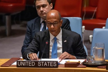 Robert Wood ante el Consejo de Seguridad de la ONU