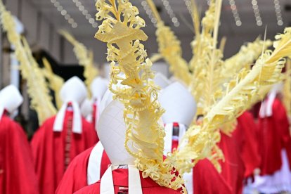 Several cardinals, during the Palm Sunday procession at the Vatican.